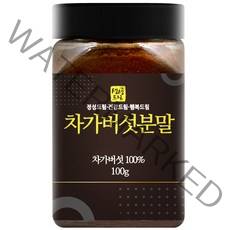 생생드림 차가버섯 분말, 100g, 1개