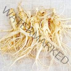 햇수삼!! 삼키우는마을 고려수삼 세척 무세척 수삼 가정용, 02.콩난파삼700g-무료세척