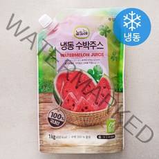 뉴뜨레 수박 주스 (냉동), 1kg, 1개