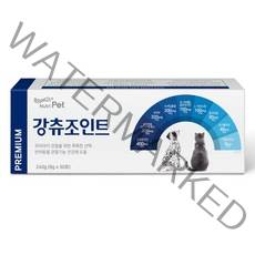 바른영양펫 강츄조인트 강아지