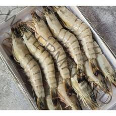 [미쓰리푸드마켓]냉동블랙타이거 새우 10/15/20미(캠핑 구이용새우 대하) 1+1, 블랙타이거새우10미×2팩(500g×2팩)