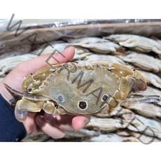 넉넉수산 냉동 수입 삼점게 암게 60/80 6kg, 1개