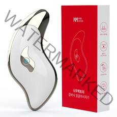 나무팩토리 갈바닉 얼굴 마사지기, BH-1217, 화이트