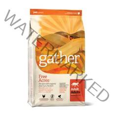 게더 성묘용 프리에이커 치킨 레시피 건식사료, 닭, 1kg, 1개