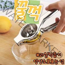 과일착즙기 오렌지착즙기 레몬착즙기 녹즙기 착즙기