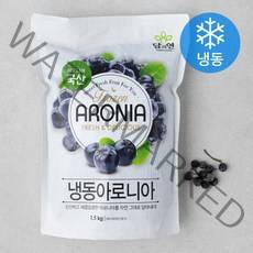 담과연 냉동 아로니아 (냉동), 1.5kg, 1개