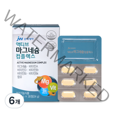 중외제약 액티브 마그네슘 컴플렉스, 30정, 6개