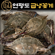 [미소가] 국산 연평도 냉동꽃게 간장게장용 양념게장용 암꽃게 숫꽃게 급냉꽃게 1kg 2kg, 3.급냉꽃게 숫꽃게 중 1kg [4~5미]
