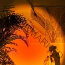 에그팩토리 만달라키 조명 16색 일반형 W340, 혼합색상