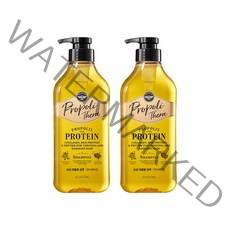 엘라스틴 프로폴리테라 안티에이징케어 샴푸 가늘고 힘없는 모발용 자스민향, 500ml, 2개