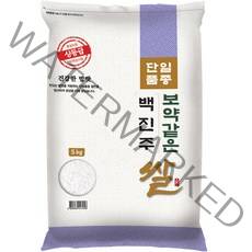 대한농산 보약같은 경기미 백진주쌀, 5kg, 1개