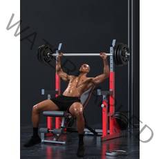 벤치프레스 스쿼트 렉 분리형 프레임 다용도, 일체형 스쿼트랙