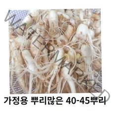 인삼 못난이 인삼 실속가정용 40-45뿌리 파지 못난이 삼계탕 인삼 홍삼 못난이 인삼 홍삼용, 700g 40-50뿌리세척 (0) +못난이대추(30g)