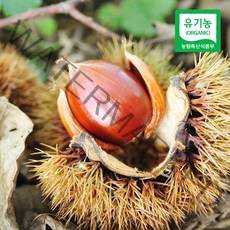 [산지직송] 충주 김의충님의 유기농 알밤(대) 2kg, 단품