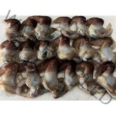 최고급 청정해안 여수 새조개 500g 샤브샤브, 1개