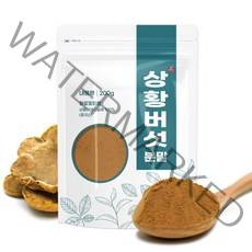 자연초 자연산 상황버섯분말 가루 200g, 3개