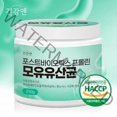 건강앤 포스트바이오틱스 프롤린 모유유산균 250g, 1개