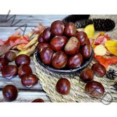 옥광밤/임금님 진상밤/1kg 2kg 4kg, 옥광(대)2kg, 1개