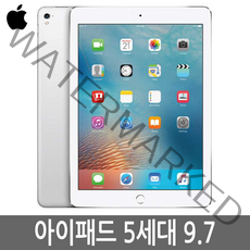 아이패드5세대 32GB 128GB WiFi 셀룰러 기가 정품, Wi-Fi+Cellular