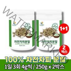 100% 차전자피 분말 주스 어린이 식이섬유 가루 파우더 자전피 차전피차 섬유소 약국차전자피 차전자 질경이씨 차전자푸, 2박스