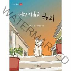 푸른사상 너의 이름은 해리 (마스크제공), 단품