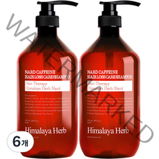 부케가르니 나드 카페인 탈모 샴푸, 1000ml, 6개