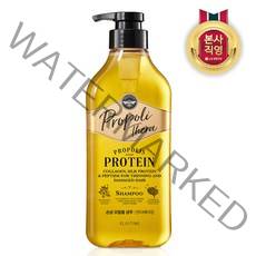 LG 생활건강 프로폴리테라 힘없는모발용 샴푸 500ml, 단품없음