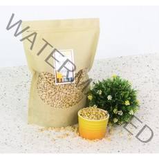 (22년산 햇잣) 청가을 국산잣 1kg, 1개, (22년산)햇백잣 1kg