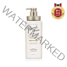 엘라스틴 엘라스틴 프로폴리테라 헤어로스컨트롤 고영양 샴푸 500ml(푸석한모발용), 엘라스틴 푸석한모발용 500ml