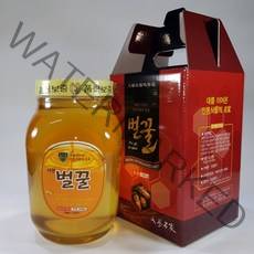 꿀뜨레 사양벌꿀 2.4kg ( 프라스틱 병) 1개 발송