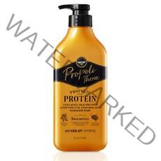 엘라스틴 프로폴리테라 샴푸 손상모발용 500ml x 2개