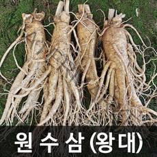 청명네이처 금산인삼 수삼(원수삼) 왕대 (750g) (4~5뿌리), 1개, 750g