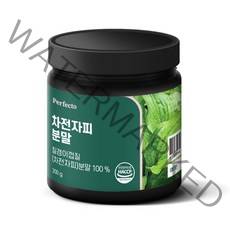 퍼펙토 차전자피 분말, 1개, 200g