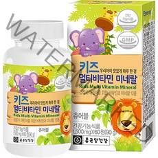 종근당건강 키즈 멀티비타민 미네랄, 1개, 90g