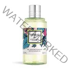 록시땅 에르베 젠틀 샤워 젤 250ml