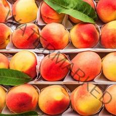 꿀당도 황도 백도 말랑이 딱딱이 복숭아, 말랑이 복숭아 (9-12입) 특품, 1개