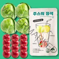 주스의정석 NFC생착즙 양배추사과즙 [일반포장], 30팩_일반포장