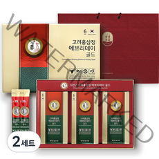 풍년보감 6년근 고려홍삼정 에브리데이 골드 홍삼스틱 30포 선물세트 + 쇼핑백, 300g, 2개