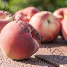 명품 충북 영동 복숭아 과즙 풍부 부드러운 복숭아 황도 백도, 2kg(대) 9-11입, 1개