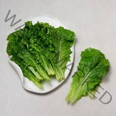 국내산 아삭한 상추, 150g, 1봉