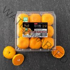 GAP 인증 진시황 고당도 하우스감귤, 1kg, 1개