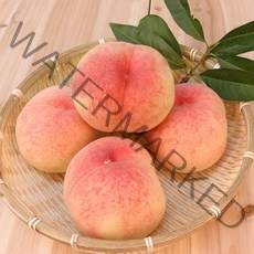 당도대장 하우스 복숭아, 1개, 1kg(중과 6-8과)