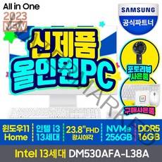 삼성전자 삼성 DM530AFA-L38A 13세대 CPU-i3 올인원 일체형PC 컴퓨터 사무용 가정용 게임 데스크탑, SSD 256GB+RAM 16GB