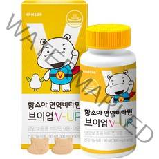함소아 면역 비타민 브이업 1000mg, 90정, 1개