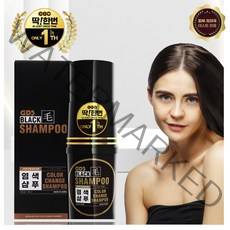 지디에스 블랙모 딱한번샴푸 새치 흰머리 염색샴푸, 200ml, 2개
