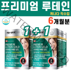 루테인 마리골드꽃 아연 비타민 프리미엄 류테인 매리골드꽃 1+1