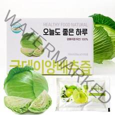 굿데이 양배추즙 젊은 정직한 농부가 만든 순수 하고 맛있는 식품, 100ml, 100포