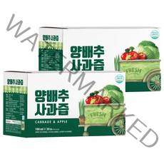 NFC 착즙 양배추사과즙, 100ml, 60개