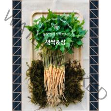 새싹농부가 전하는 건강한 새싹삼, 100개