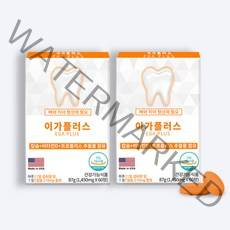 프로븐 이가플러스 치아 잇몸영양제 칼슘 프로폴리스 비타민D 2개월, 2개 (4개월), 120정